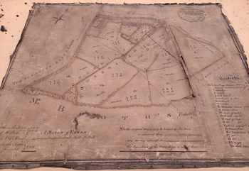 Coupland Plan